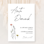 Louka minimalistická