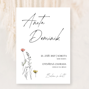 Louka minimalistická