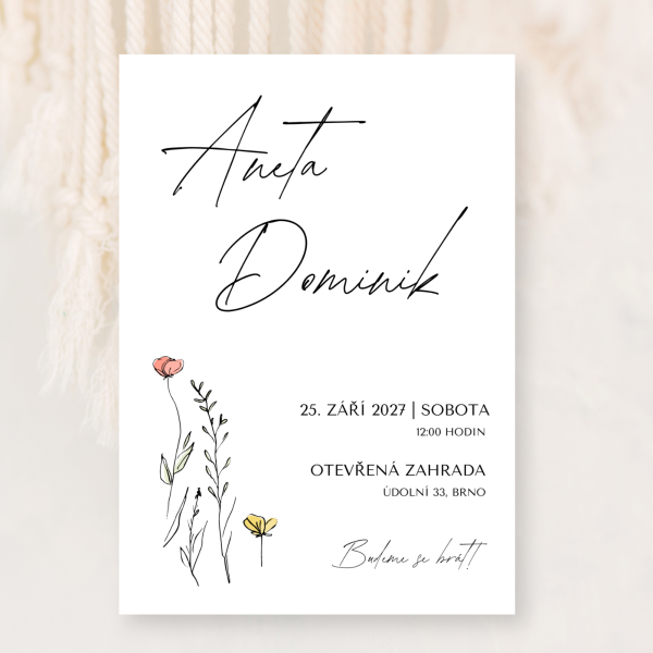 Louka minimalistická