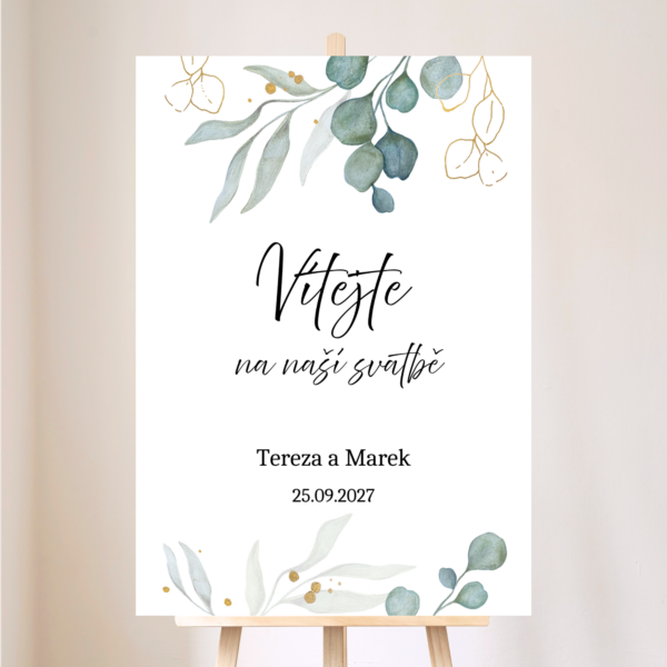 Eukalyptus - komplet