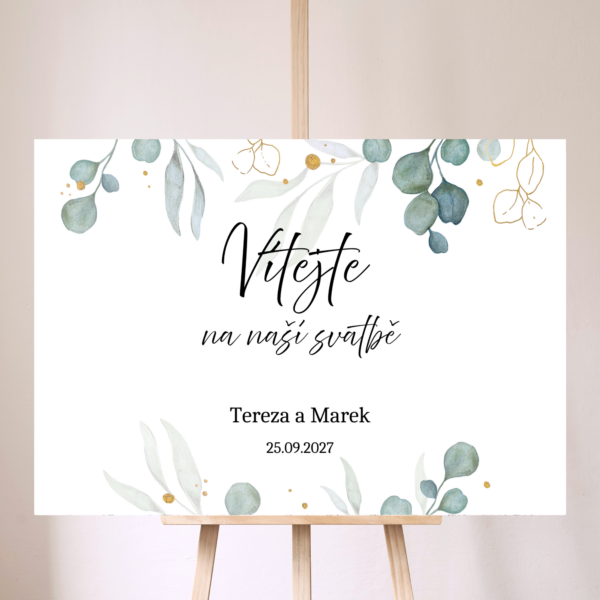 Eukalyptus - komplet