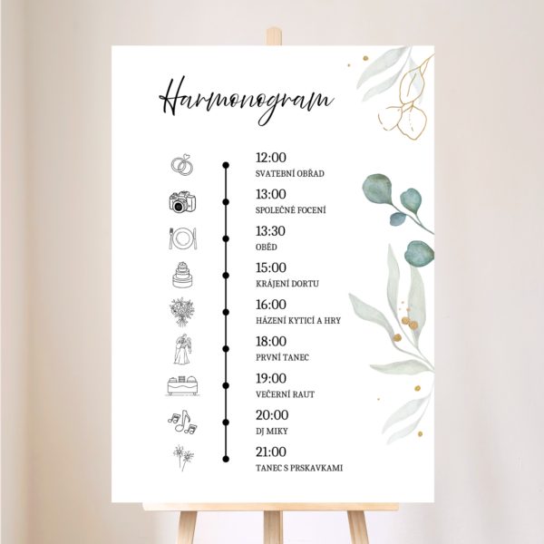 Eukalyptus - komplet