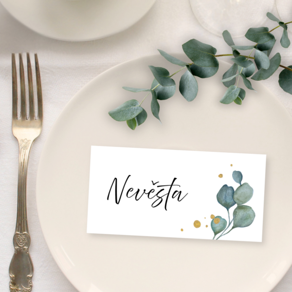 Eukalyptus - komplet