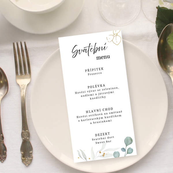 Eukalyptus - komplet