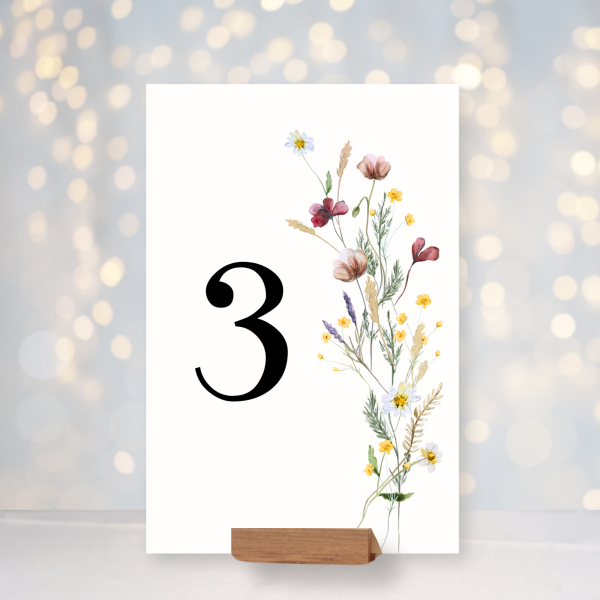 Louka (var. 1) - komplet