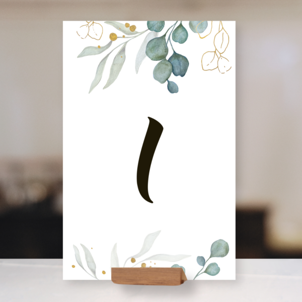 Eukalyptus - komplet