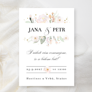 Pudrové růže (var. 1)