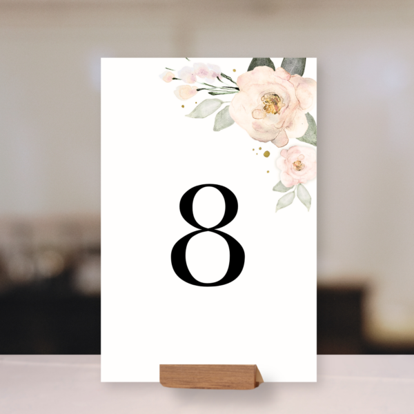 Pudrové růže (var. 2) - komplet